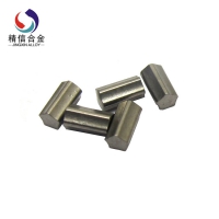 Carbide Pin (17)